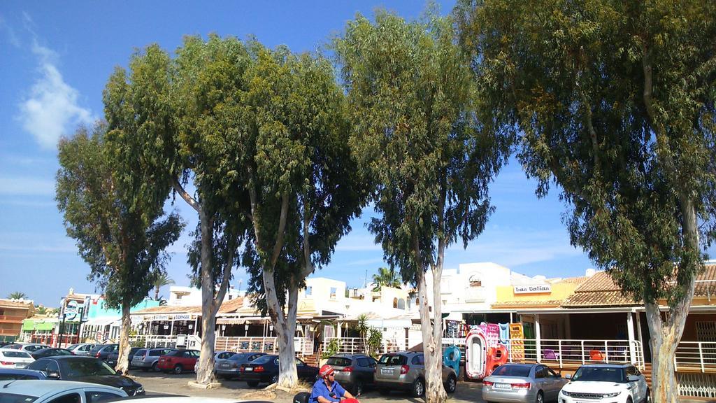 Albadomus Διαμέρισμα Denia Εξωτερικό φωτογραφία